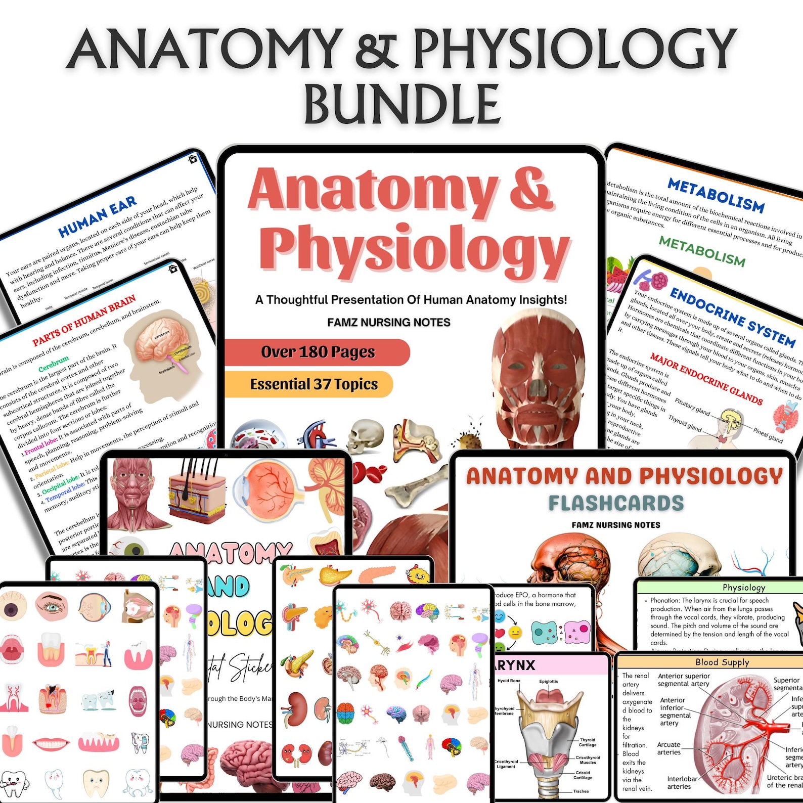 Advance Nursing School Notes Mega Bundle Vol 1 & 2 With Flashcards ...