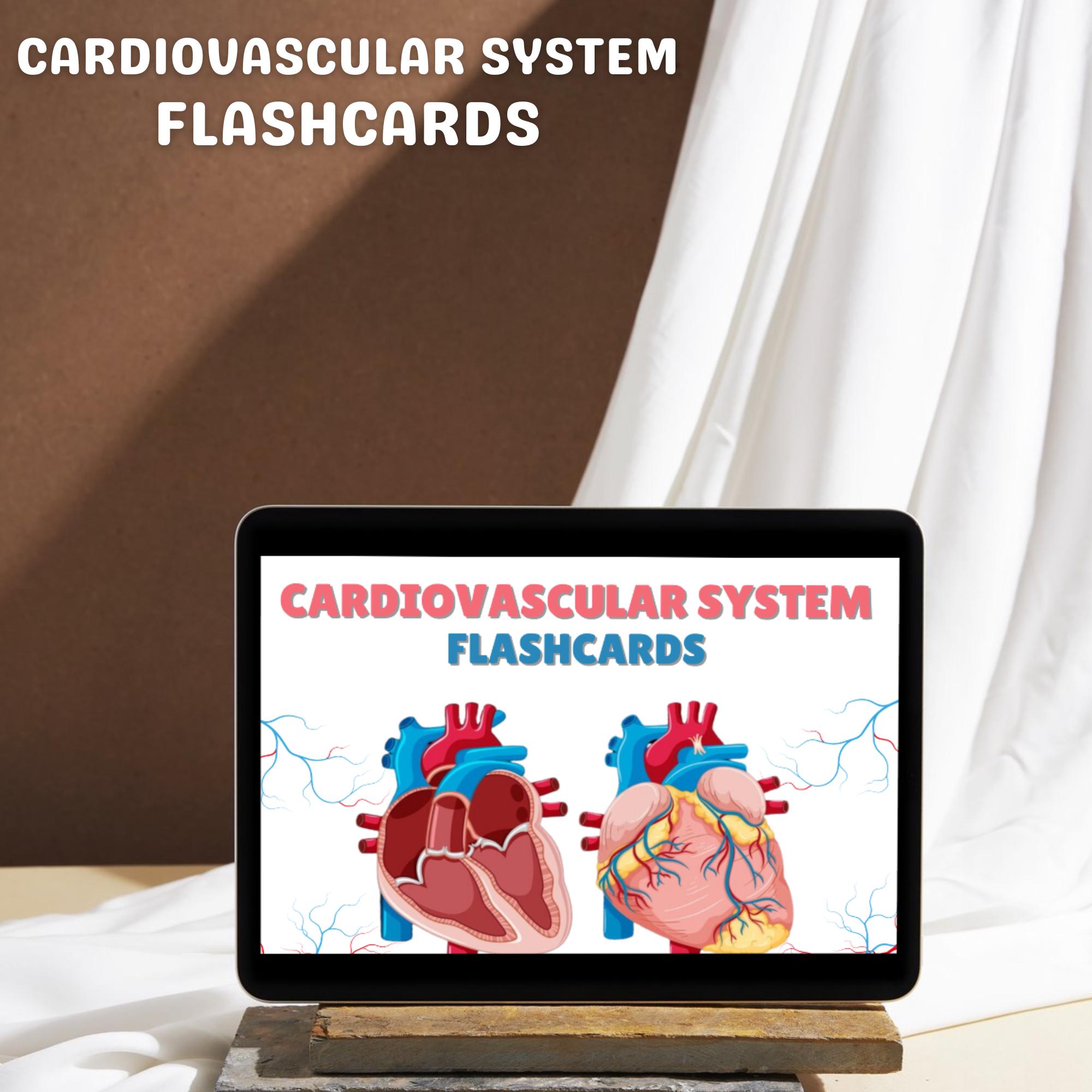 160+ Cardiovascular System Flashcards | Cardiac Nursing | Nursing Notes ...