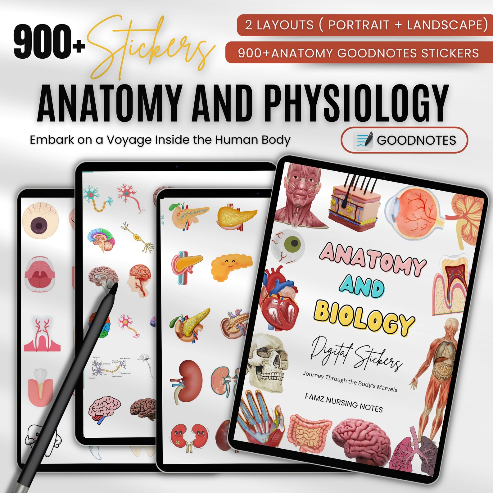 900+ Anatomy & Biology Stickers | Anatomy Stickers | Goodnotes Stickers ...