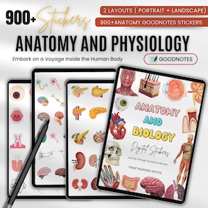 900+ adesivi di anatomia e biologia / Adesivi di anatomia / Adesivi GoodNotes / Adesivi pre-ritagliati del corpo umano / Adesivi digitali per iPad