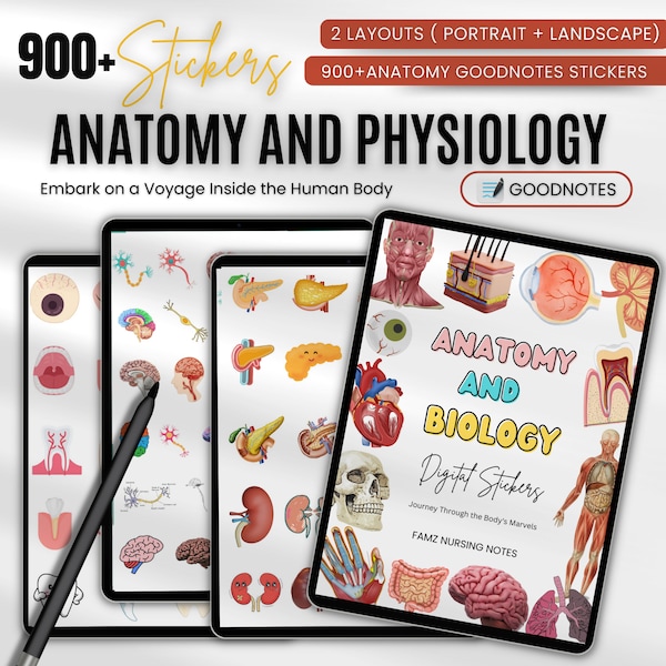 Stickers Goodnotes Anatomy Etsy