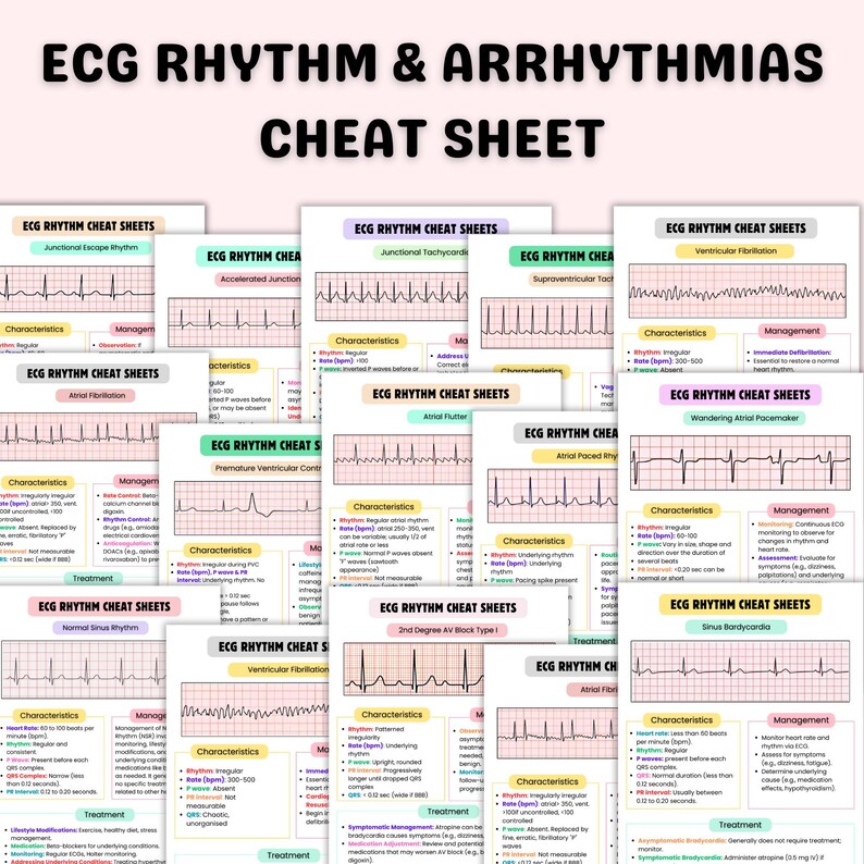 Cardiac Bundle | Cardiac Nursing Notes | ECG Rhythm & Arrhythmias ...