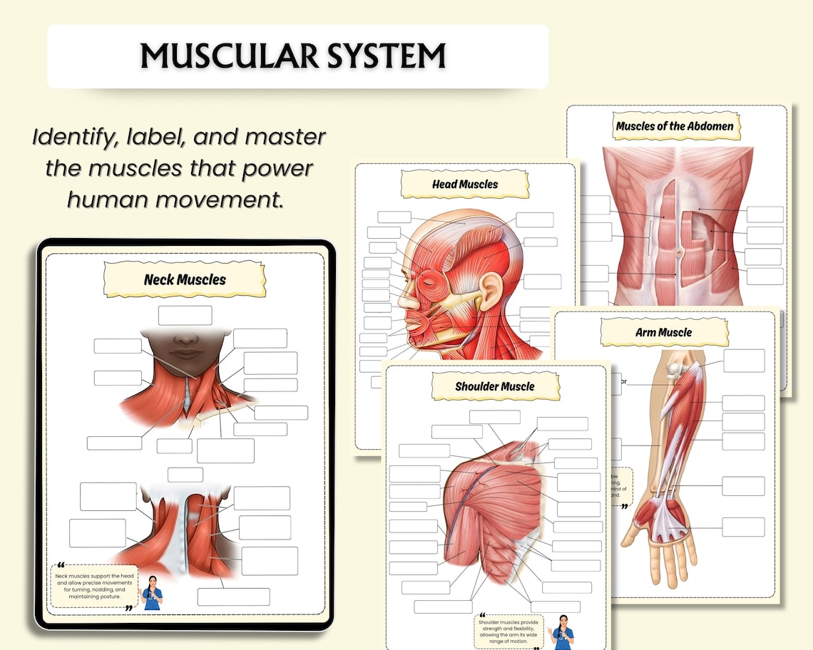 Human Anatomy Systems and Labeling Book | Anatomy & Physiology Study ...