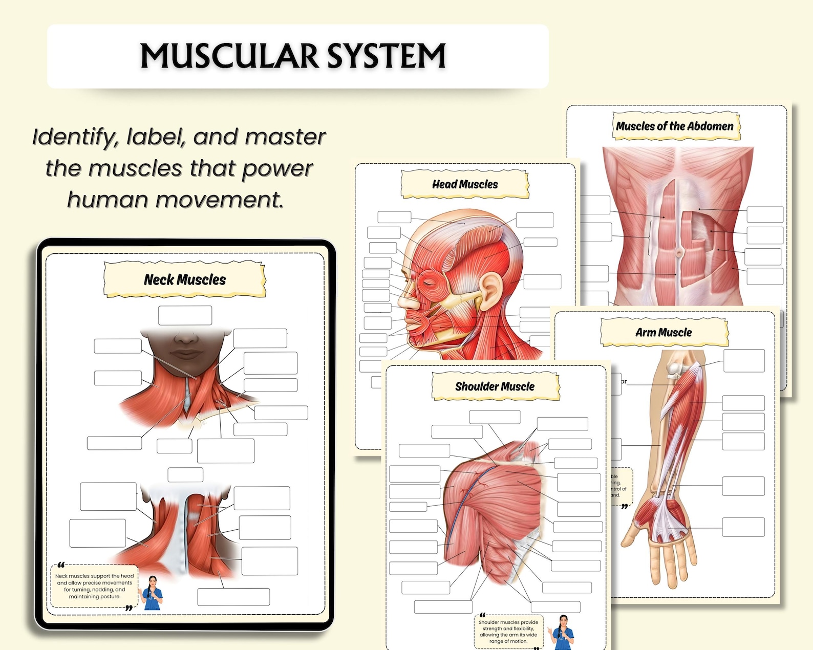 Human Anatomy Systems and Labeling Book | Anatomy & Physiology Study ...