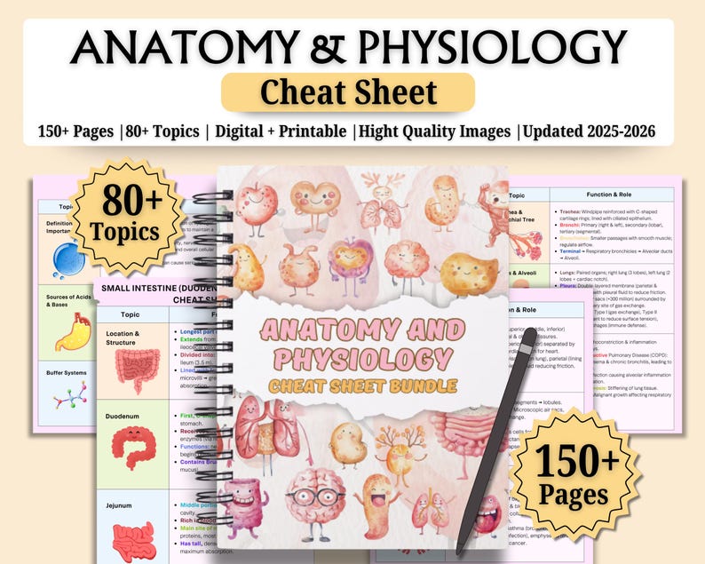Anatomy and Physiology Cheat Sheet | A&P Study Notes | Human Anatomy ...