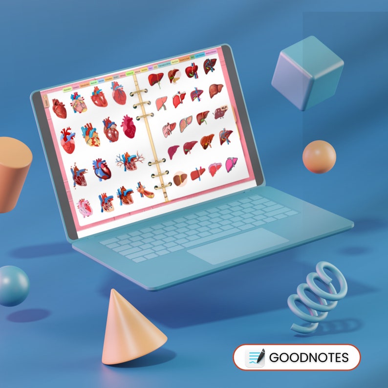 May include: A laptop computer open to a page with illustrations of the human heart and liver. The laptop is on a blue surface with a spring, a cone, and a cube.