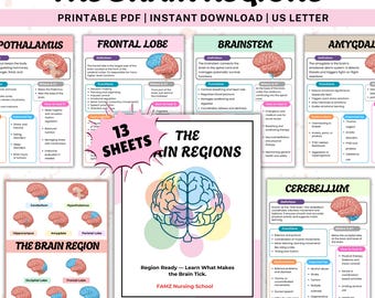 The Brain Regions Cheat Sheet | Brain Anatomy | Human Brain | Brain Parts | Neuropsychology Worksheets | Neuroscience | Nervous System