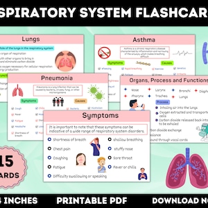 15 Respiratory System Flashcards Printable | Respiratory Therapy | Respiratory Disorders | Respiratory Notes | Nursing Notes