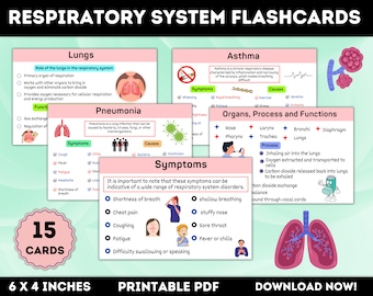 15 Respiratory System Flashcards Printable | Respiratory Therapy | Respiratory Disorders | Respiratory Notes | Nursing Notes