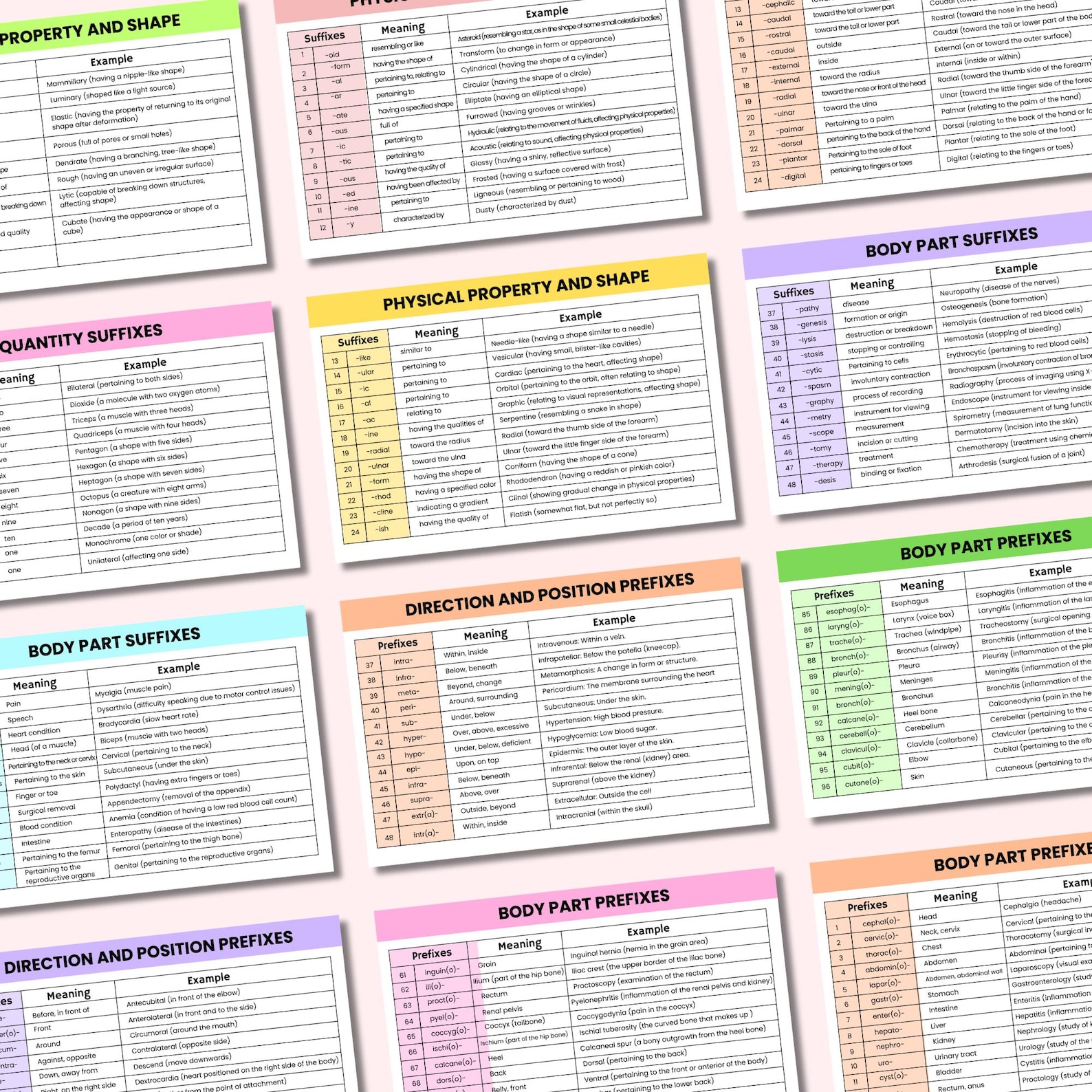 Medical Terminology Flashcards | Medical Terminology Prefixes and ...