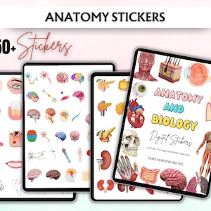 Może przedstawiać: Cyfrowe naklejki z anatomii i biologii wyświetlane na tabletach. Obraz zawiera r&oacute;żne ilustracje anatomiczne, w tym m&oacute;zg, serce i inne narządy. Tekst zawiera "ANATOMY AND BIOLOGY" i "650+ Stickers".