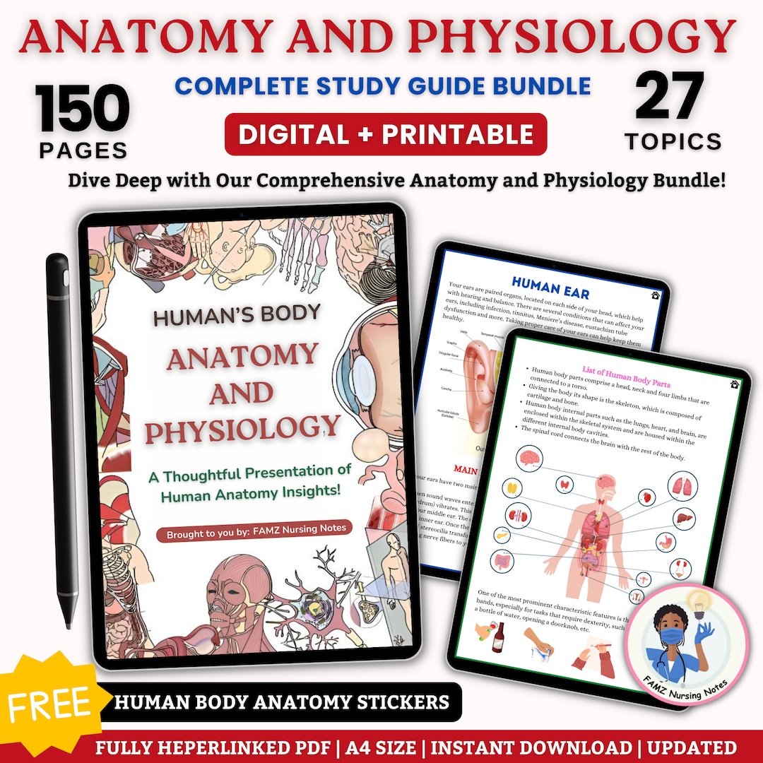 Anatomy and Physiology Notes Complete Study Guide Guide - Etsy Australia