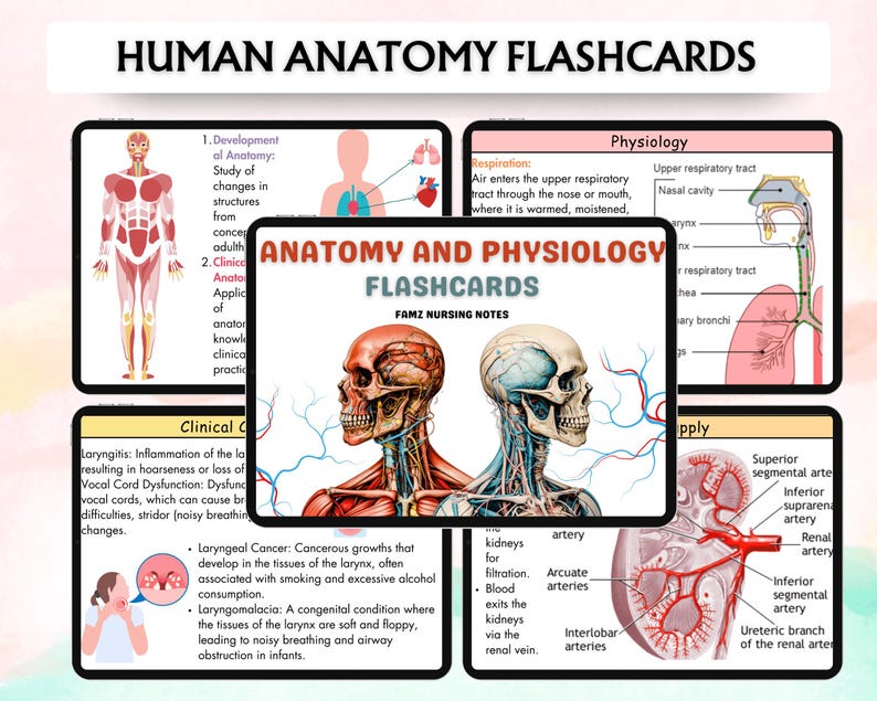 Może przedstawiać: Fiszki z anatomii i fizjologii z ilustracjami ludzkiego ciała, w tym układu szkieletowego, układu oddechowego i nerek. Fiszki zawierają tekst "HUMAN ANATOMY FLASHCARDS" i "ANATOMY AND PHYSIOLOGY FLASHCARDS".