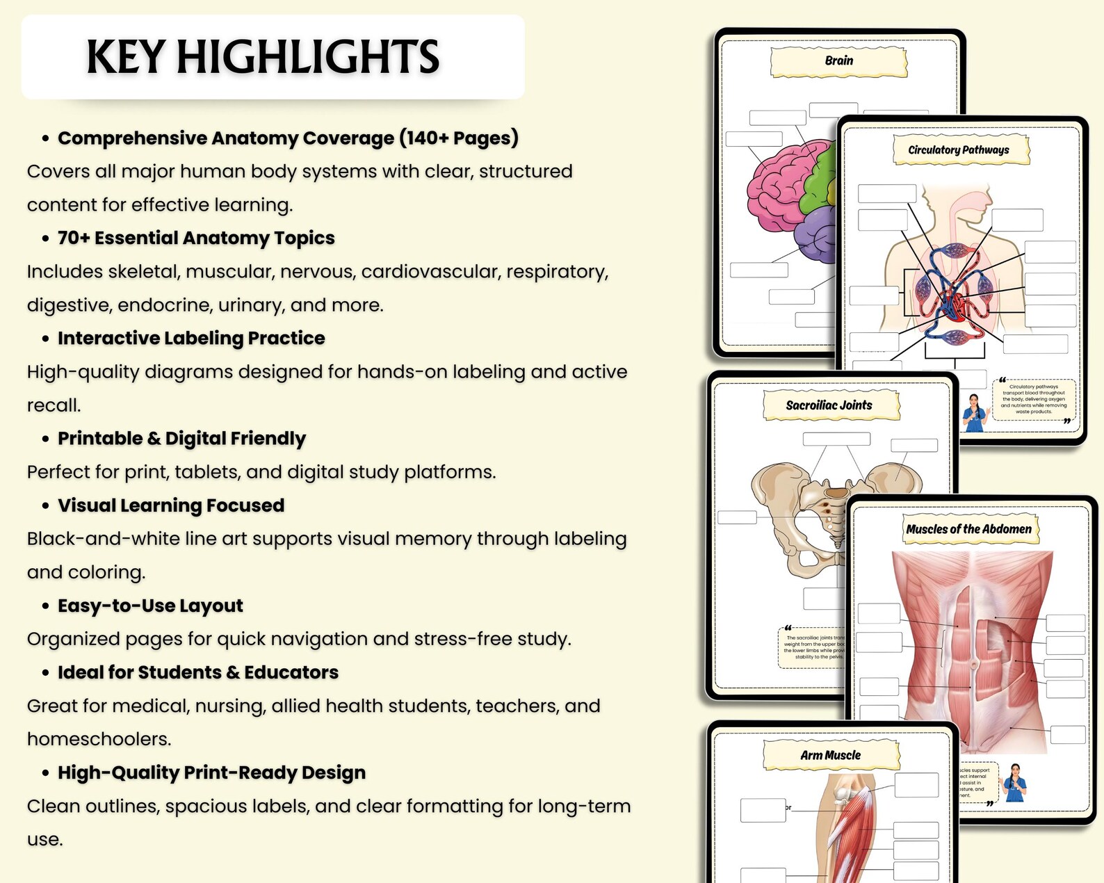 Human Anatomy Systems and Labeling Book | Anatomy & Physiology Study ...
