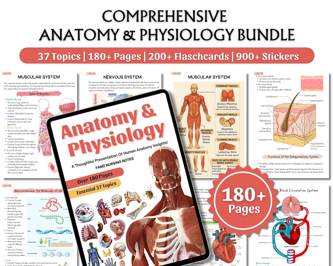 Comprehensive Anatomy &amp; Physiology Bundle | Nursing Notes | Anatomy Study Guide | Medical Notes ...