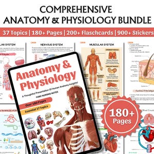 Ensemble complet d'anatomie et de physiologie | Notes d'allaitement | Guide d'étude de l'anatomie | Notes médicales | Étudiante en soins infirmiers | PDF