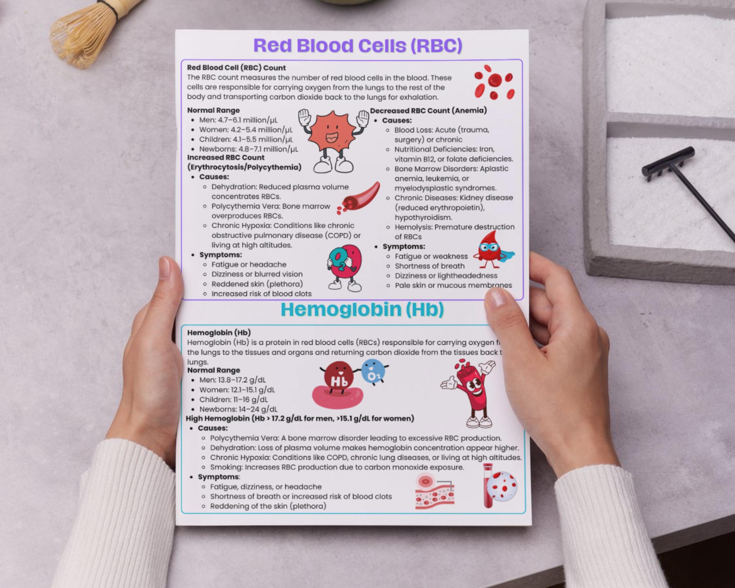 Complete Nursing Lab Values Cheat Sheet | Lab Values Nursing Study ...