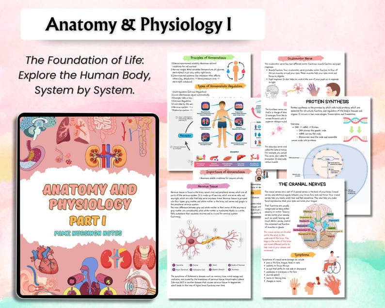 Może przedstawiać: Materiały edukacyjne z anatomii i fizjologii I. Obraz przedstawia tablet z okładką podręcznika z tytułem "Anatomia i fizjologia część I". Widoczne są r&oacute;wnież szczeg&oacute;łowe schematy anatomiczne.