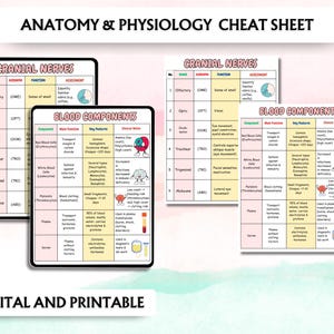 Może przedstawiać: Cyfrowe i drukowane arkusze do anatomii i fizjologii. Arkusze zawierają informacje o nerwach czaszkowych i składnikach krwi. Tekst jest czarno-biały z kolorowymi ilustracjami.