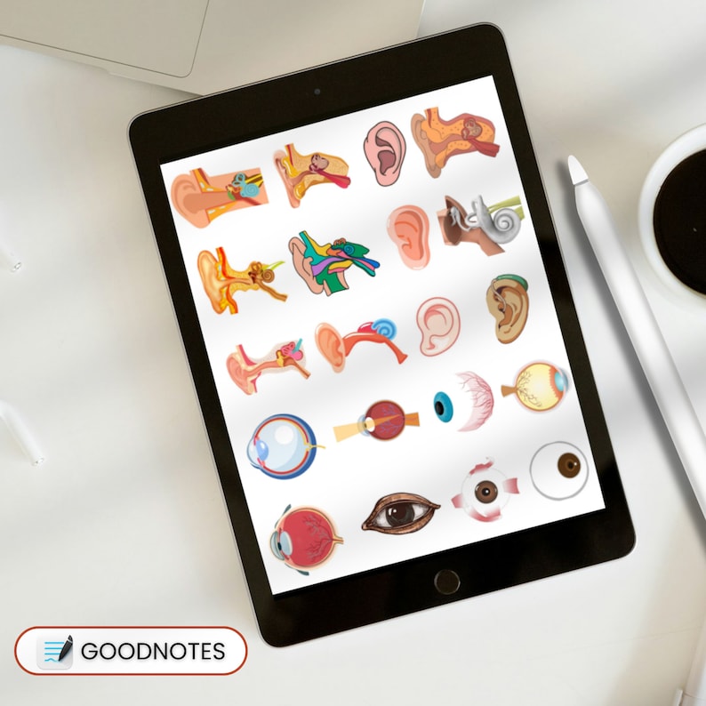May include: A digital illustration of the human eye and ear anatomy. The image shows various parts of the eye and ear, including the cornea, iris, lens, retina, eardrum, ossicles, and cochlea. The illustrations are colorful and detailed, making them ideal for educational purposes.