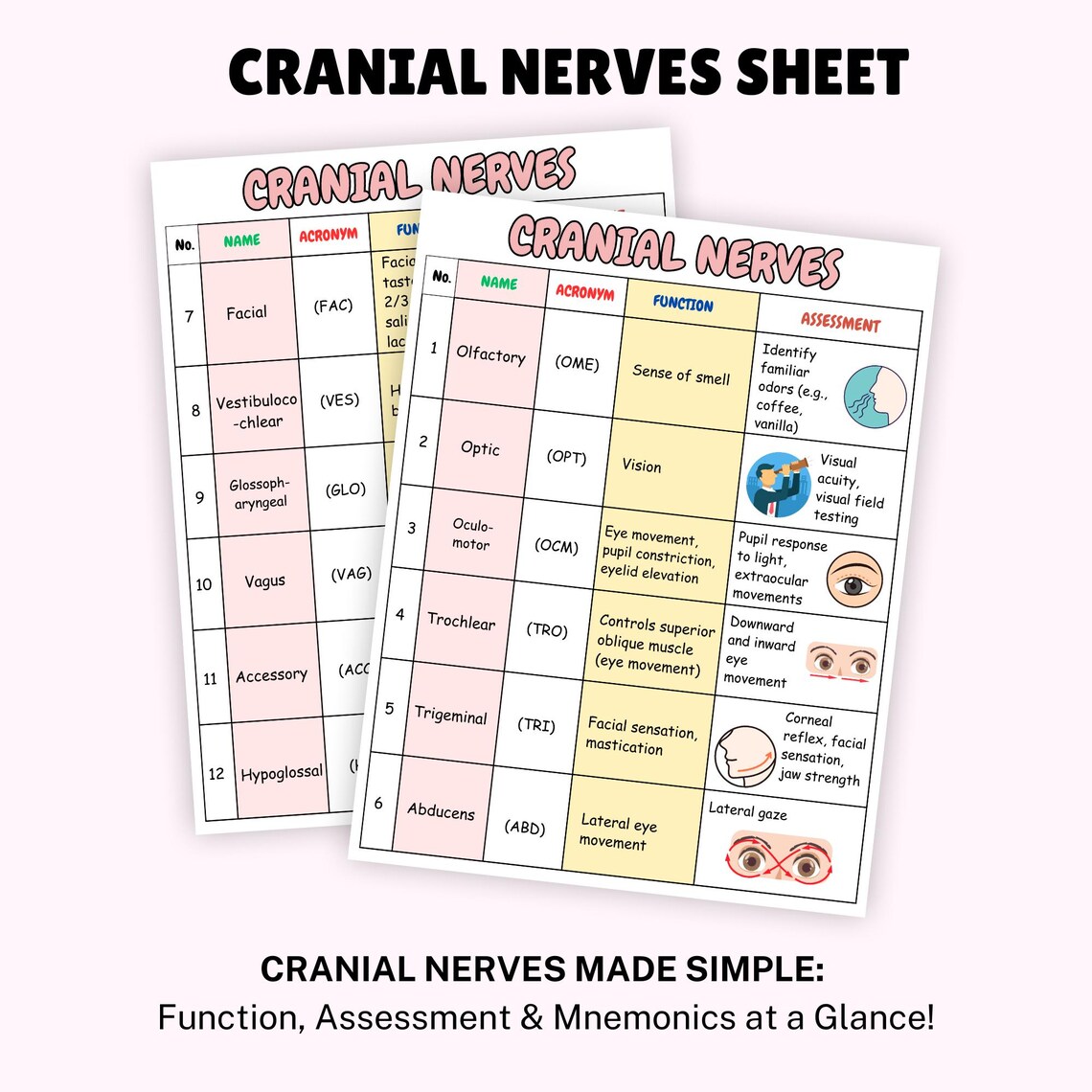 Cranial Nerves Nursing | Cheat Sheet for Nursing Students | Nursing ...