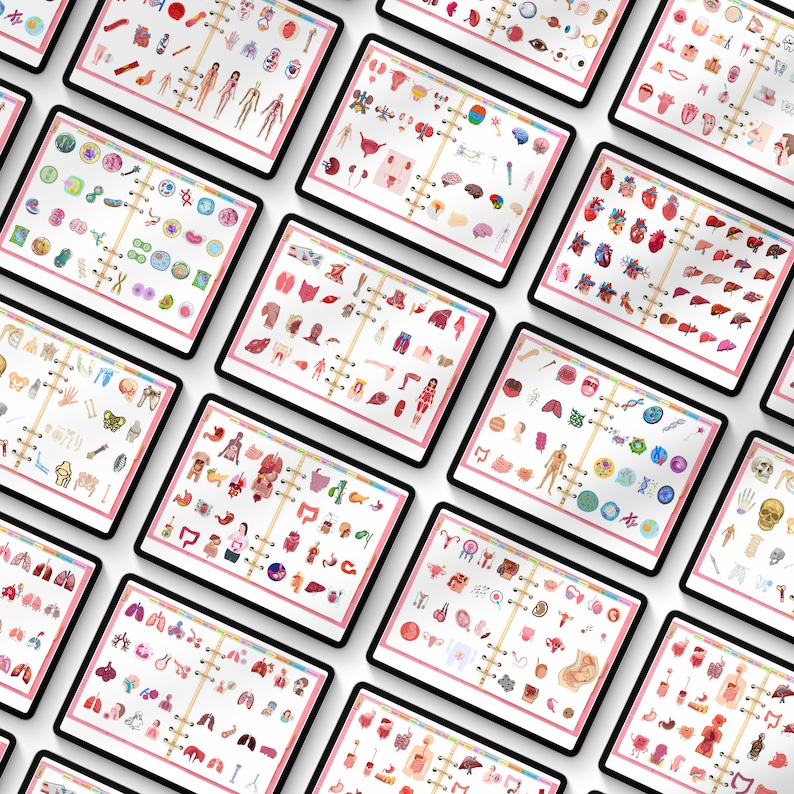 May include: A set of 10 digital printable pages featuring colorful illustrations of the human body. Each page focuses on a different system, including the skeletal, muscular, circulatory, digestive, respiratory, nervous, endocrine, reproductive, and urinary systems. The pages are designed for educational purposes and can be used for learning about the human body.
