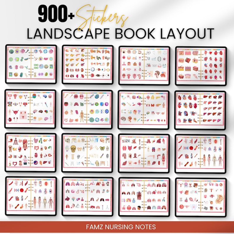 May include: A digital planner layout with 900+ stickers for nursing students. The stickers feature various anatomical illustrations, including organs, bones, and body systems. The layout is designed for landscape orientation and includes the text "FAMZ NURSING NOTES".