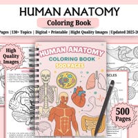 Anatomy and Physiology Notes Mega Bundle Vol 1 & 2 | Human Anatomy ...