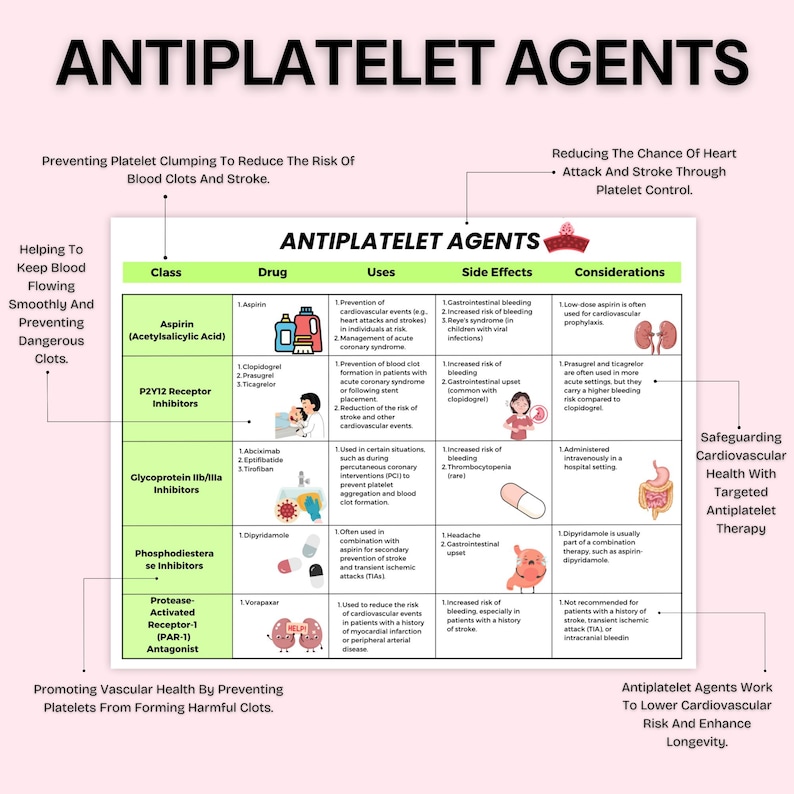 Pharmacology Cheat Sheet Bundle | Pharmacology Notes | Pharmacy Technician | Nursing Notes | 120+ Drug Classes | Antibiotics, SSRIs, SNRIs image 4