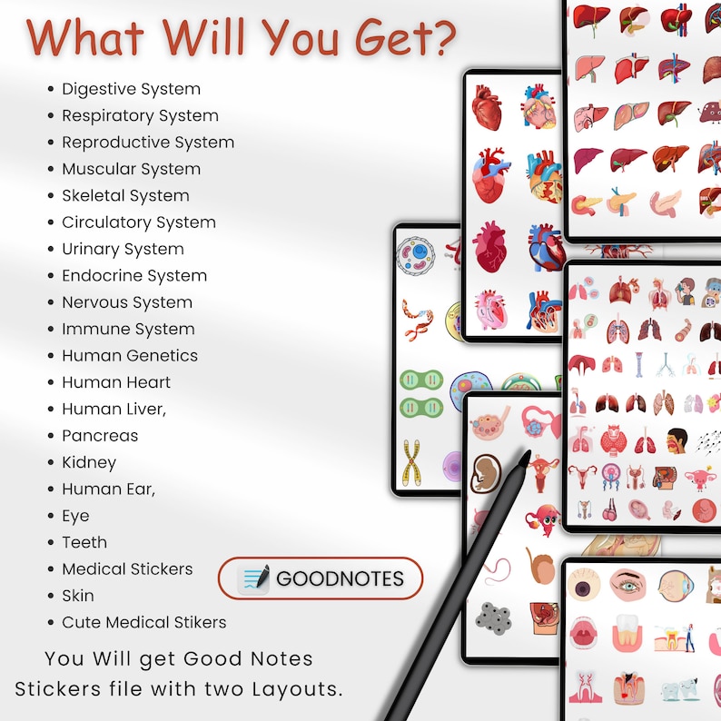 May include: A digital illustration of various human body systems, including the digestive, respiratory, reproductive, muscular, skeletal, circulatory, urinary, endocrine, nervous, immune, and human genetics systems. The image also includes illustrations of the human heart, liver, pancreas, kidney, ear, eye, teeth, and skin. The text "What Will You Get?" and "You Will get Good Notes Stickers file with two Layouts." is displayed on the image. The text "GOODNOTES" is displayed on a blue button with a white pencil icon.