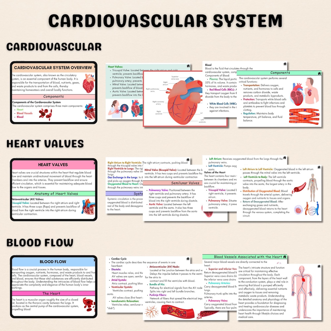 160+ Cardiovascular System Flashcards | Cardiac Nursing | Nursing Notes ...