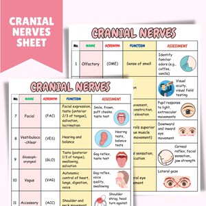 Cranial Nerves Nursing | Cheat Sheet for Nursing Students | Nursing ...