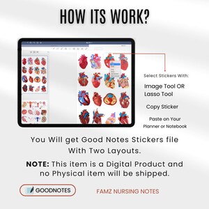 May include: A screenshot of a digital planner app showing a grid of anatomical heart illustrations. The text "HOW ITS WORK?" is at the top of the image. The text "Select Stickers With: Image Tool OR Lasso Tool Copy Sticker Paste on Your Planner or Notebook" is on the right side of the image. The text "You Will get Good Notes Stickers file With Two Layouts." is below the image. The text "NOTE: This item is a Digital Product and no Physical item will be shipped." is below the previous text. The text "GOODNOTES" is in a blue box with a white pen icon. The text "FAMZ NURSING NOTES" is below the blue box.