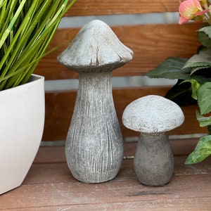 Può includere: Due statue da giardino a forma di fungo in cemento grigio. Il fungo più grande è più alto e ha una cima più arrotondata. Il fungo più piccolo è più basso e ha una cima più piatta.