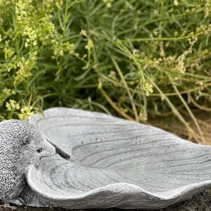 Stoneandstyle Insektentränke Mit Elfe Aus Steinguss – Frostfest Bis -30°C, ⌀ 14 Cm, Handarbeit Made In Germany