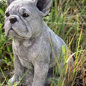 Könnte beinhalten: Eine graue Betonstatue eines französischen Bulldoggen, der in einem grasbewachsenen Bereich sitzt. Die Statue ist detailliert und realistisch, mit einer strukturierten Oberfläche.