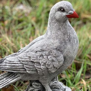 Könnte beinhalten: Eine graue Betondove-Statue mit rotem Schnabel. Die Taube sitzt auf einem kleinen Sockel und ist von grünem Gras umgeben.