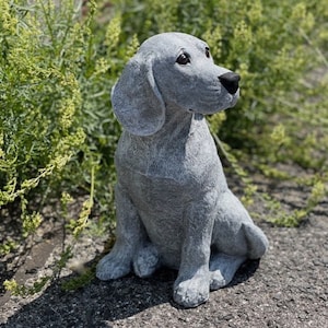 Peut inclure: Une sculpture de chien en pierre grise assise, la tête levée. Le chien a un long museau et des oreilles tombantes.