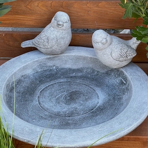 Può includere: Un abbeveratoio per uccelli in pietra grigia con due piccole statuine di uccelli in pietra grigia appollaiate sul bordo. L'abbeveratoio ha un bacino circolare con una superficie testurizzata.