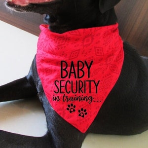 Bébé sécurité en formation Svg, bébé garde chien Bandana Svg, drôle chien bandana annonce de grossesse Png couper fichier pour Cricut Silhouette Cameo