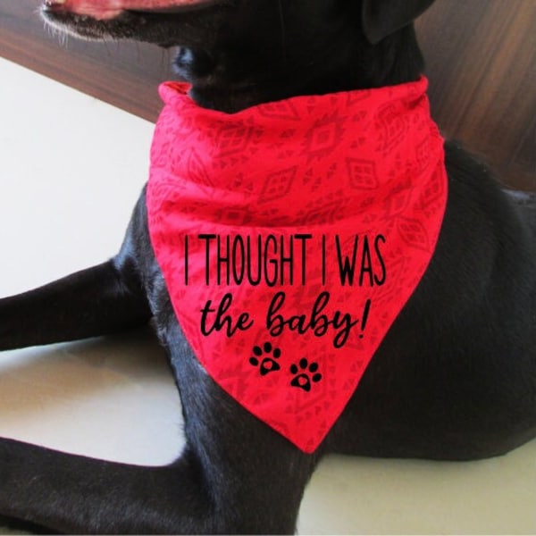 Dog Pregnancy Announcement Bandana Svg Etsy