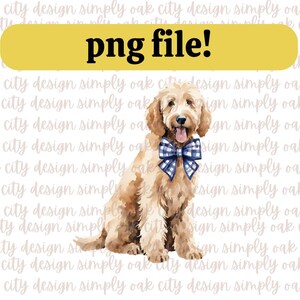 Acuarela Golden Doodle PNG Perro Labradoodle con Lazo Azul PNG Clipart Papelería Grandmillennial Coquette Preppy Puppy Boy