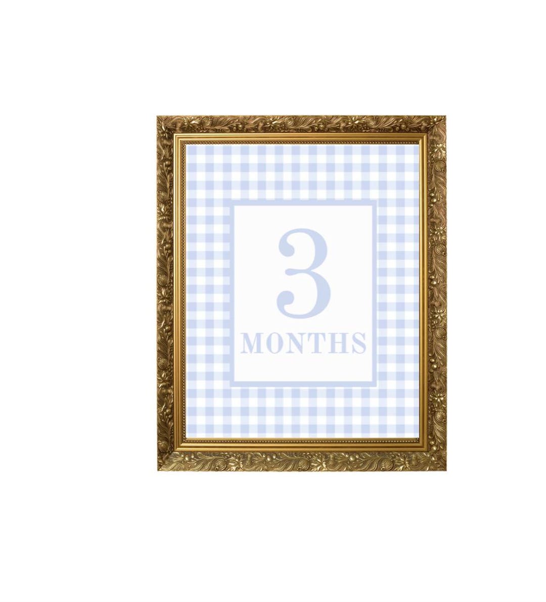 Blue Gingham 12 Milestone Cards for Baby Boy, Preppy Digital Print ...