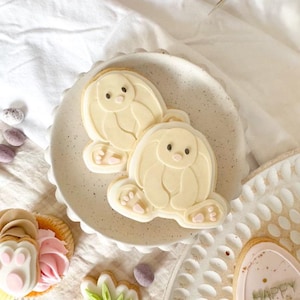 May include: Two white bunny-shaped cookies with pink icing on a white plate. The cookies are decorated with pink icing and have a light brown outline. The plate is on a white surface with a cupcake and a carrot cookie in the background.