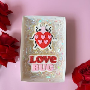 May include: A white box with a clear plastic window containing two cookies. The top cookie is a red and pink ladybug with a heart-shaped body. The bottom cookie is white with the words "LOVE BUG" in red and pink letters.