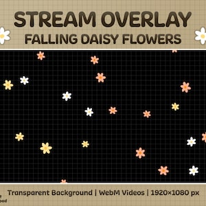 Falling Daisy Flowers Animated Stream Overlay | Transparent Animation for Twitch Alert, Stream Background, Channel Point, Webcam Etc | Loop