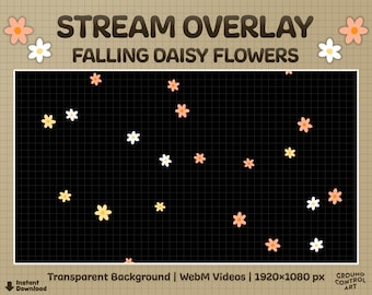 Falling Daisy Flowers Animated Stream Overlay | Transparent Animation for Twitch Alert, Stream Background, Channel Point, Webcam Etc | Loop