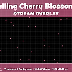 Peut inclure: Un fond noir avec une grille superposée et des fleurs de cerisier roses tombant du haut. Le texte "Falling Cherry Blossoms" et "STREAM OVERLAY" est en haut de l'image. Le texte "Transparent Background | WebM Videos | 1920x1080 px" est en bas de l'image.
