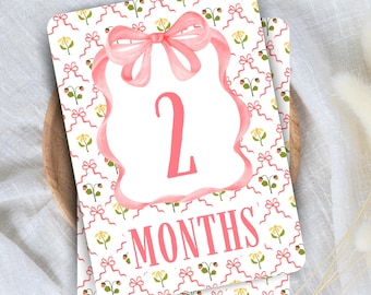 Baby Girl Monthly Milestone Cards | Watercolor Daisy Flowers | Classic Pink Bow Photo Prop Set | Baby Shower Gift | Newborn Keepsake