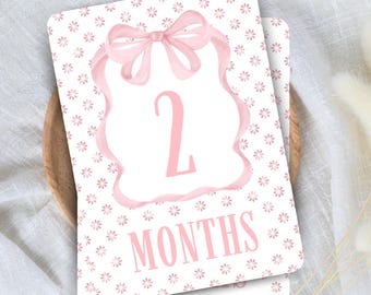 Baby Girl Monthly Milestone Cards | Classic Pink Bow Photo Prop Set | Baby Shower Gift | Newborn Keepsake